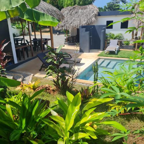 a resort with a swimming pool and some plants at BUNGALOWS COLIBRI in Las Galeras