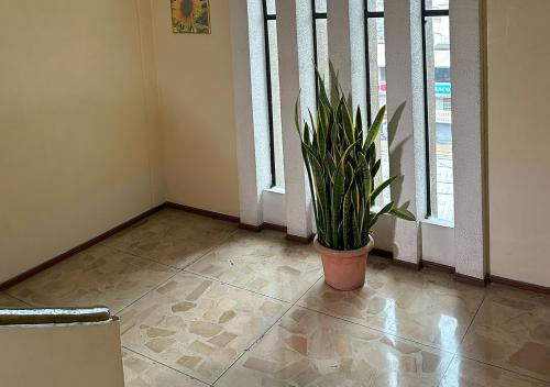 a room with a potted plant sitting on a tile floor at Hotel Ebenezer in Santo Domingo de los Colorados