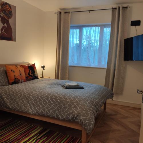 een slaapkamer met een bed en een groot raam bij Ratcliffe Apartment in Colchester