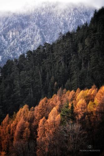 Φυσικό τοπίο κοντά σε αυτό το σαλέ