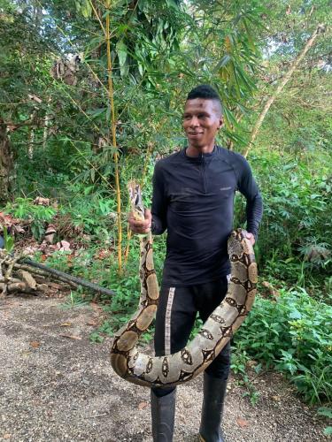 a man holding a large snake in his hand at hostal herping bahia solano tour in El Valle
