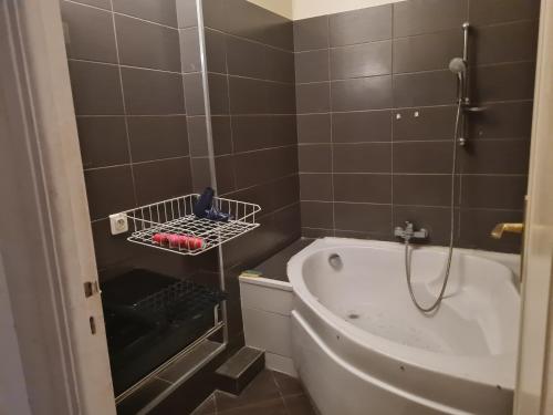 uma casa de banho com um chuveiro e uma banheira em Appartement central et au calme em Nice