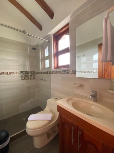 a bathroom with a toilet and a sink and a shower at Hotel las Palmas in Villa de Leyva