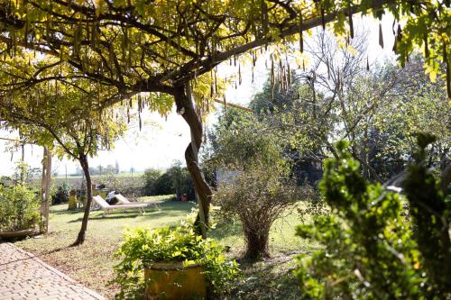 a person sitting on a bench in a garden at Locanda Acetaia Malagoli Daniele in Castelfranco Emilia