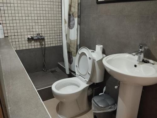 a bathroom with a toilet and a sink at Exostis in Nafplio