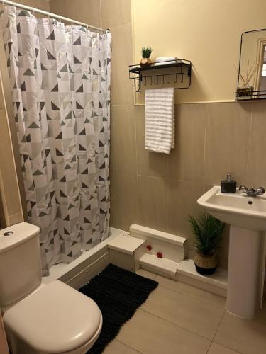 a bathroom with a toilet and a shower curtain at Cozy studio in London