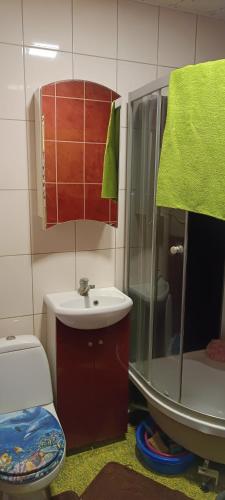 uma casa de banho com um lavatório, um WC e um espelho. em Trumpalaikė nuoma em Elektrėnai