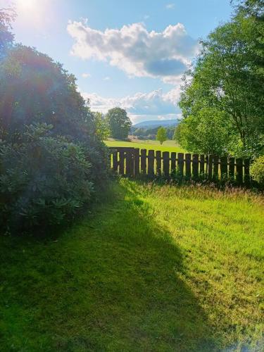 a wooden fence in a field with grass and trees at Bergfreude Chalet in Braunlage
