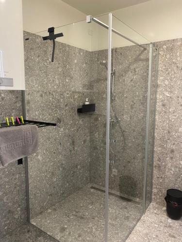y baño con ducha y puerta de cristal. en Livero Apartments, en Sankt Pölten