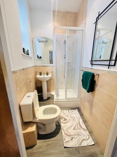 a bathroom with a toilet and a shower and a sink at Luxurious Studio flat in Shipley Central in Shipley