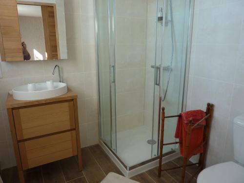 uma casa de banho com um chuveiro e um lavatório. em Chambres d'hôtes : La Isla Bonita em L'Ile-Bouchard