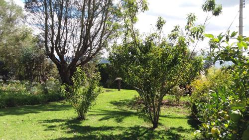 Quinta de Bruno – Photos 4