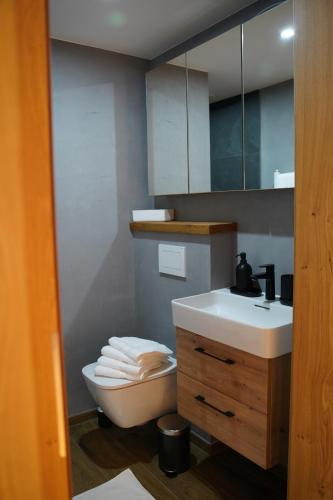 a bathroom with a white toilet and a sink at Alpenchalet zurHinterochsenweide SKI IN & SKI OUT in Brixen im Thale