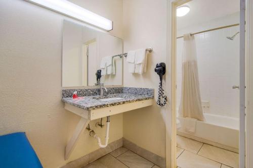 uma casa de banho com um lavatório, um espelho e um chuveiro em Econo Lodge Goldsboro Hwy 70 em Goldsboro