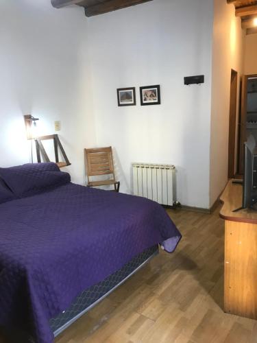 a bedroom with a purple bed and a television at La Tapera in Guaymallen