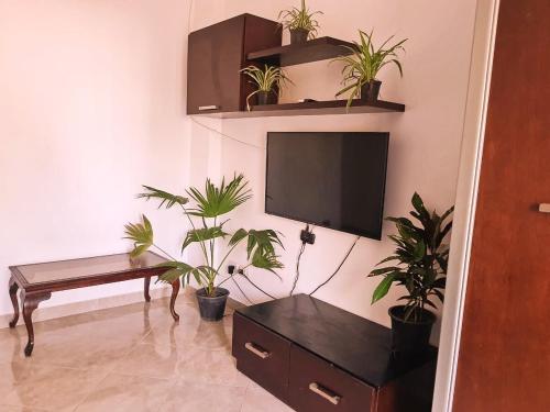 Lucky palace Dahab في دهب: غرفة معيشة مع نباتات الفخار وتلفزيون بشاشة مسطحة