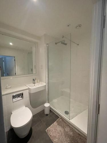 uma casa de banho com um chuveiro, um WC e um lavatório. em Large Suite - Bedford City Centre em Bedford