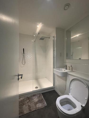 a bathroom with a shower and a toilet and a sink at Large Suite - Bedford City Centre in Bedford