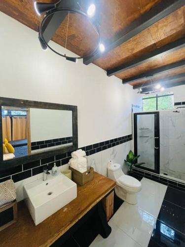 a bathroom with a sink and a toilet and a mirror at Alpinas Montecarlo in Ostumán
