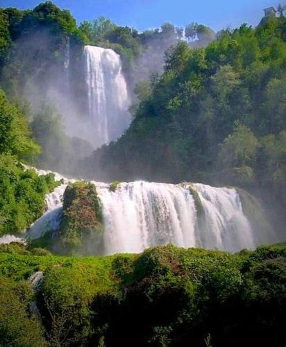a waterfall in the middle of a forest at Il Borgo Agriturismo in Ferentillo