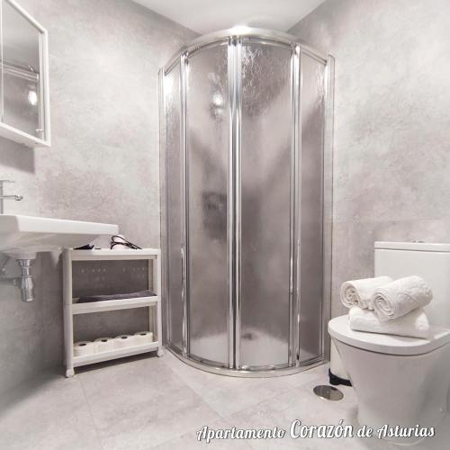 a bathroom with a shower and a toilet and a sink at CORAZÓN DE ASTURIAS in Piedras Blancas