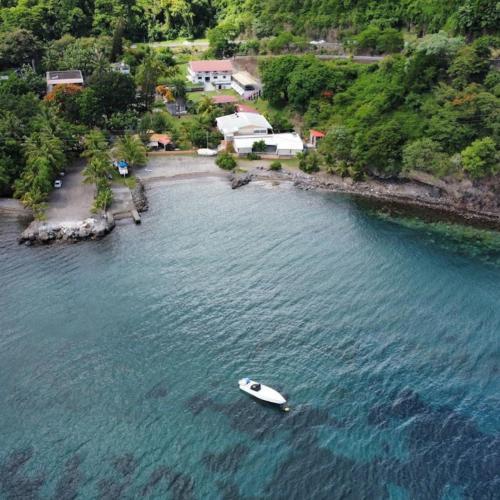 a boat in the water next to a beach at Les Gîtes de Fond Bellemare in Case-Pilote