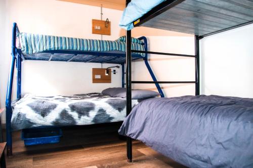 a bedroom with two bunk beds in a room at Mad Monkey Coogee Beach in Sydney