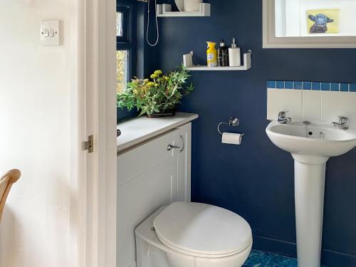 a blue bathroom with a toilet and a sink at Old Tile Studio Annex in Bramber