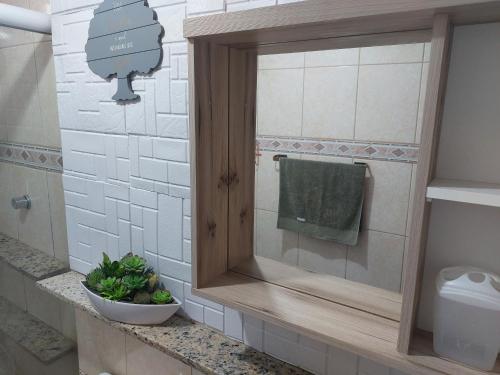 a bathroom with a mirror and a plant on a counter at Apartamento Rio Centro in Rio de Janeiro
