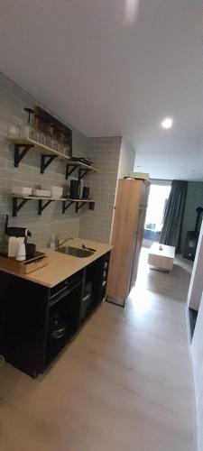 a kitchen with a sink and a counter in a room at Aa Relaxen Sauna en Jacuzzi in Boskoop