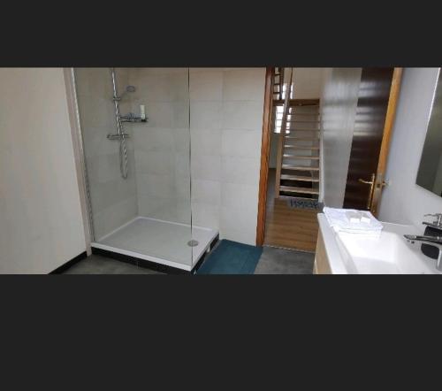 een badkamer met een douche en een wastafel bij Marci Room SweetHome in Marcinelle