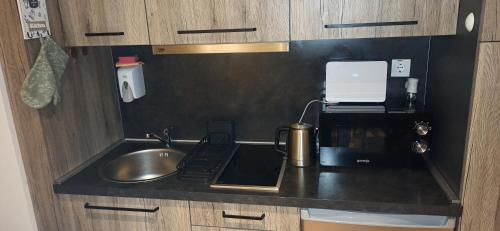 a kitchen counter with a sink and a coffee maker at Apartman Ema, Blizu Gondole Brzeće - Kopaonik in Brzeće