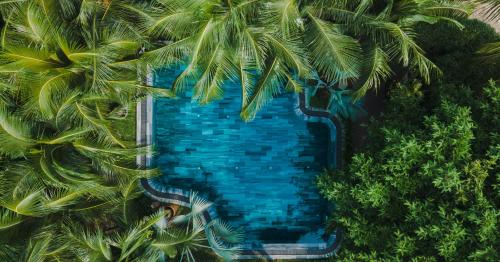 an overhead view of a swimming pool with palm trees at M Village Phu Quoc in Phu Quoc