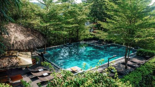 an overhead view of a swimming pool with chairs and trees at M Village Phu Quoc in Phu Quoc