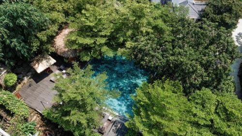 an aerial view of a blue river in a forest at M Village Phu Quoc in Phu Quoc