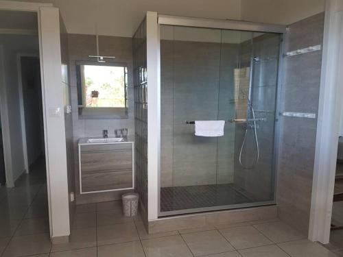 La salle de bains est pourvue d'une douche en verre et d'un lavabo. dans l'établissement TAMPON - Villa au calme,Vue Panoramique, SPA,SAUNA, à Le Tampon