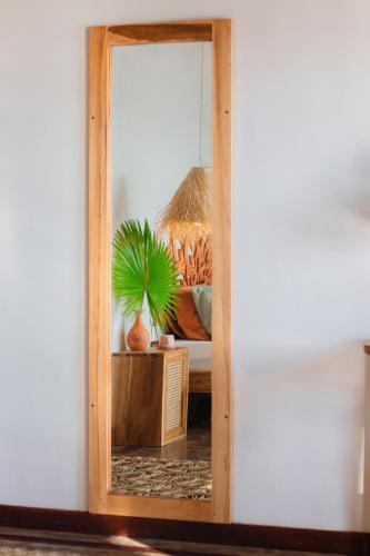 a mirror in a room with a potted plant at Amaroo Hikkaduwa in Hikkaduwa