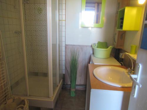 une salle de bain avec un lavabo, une douche et des toilettes dans l'établissement La Cabane Bleue, à Salles-sur-Mer