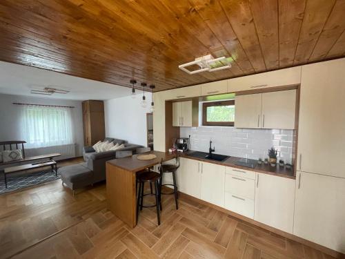 Posezení v ubytování Casa Izvoarele