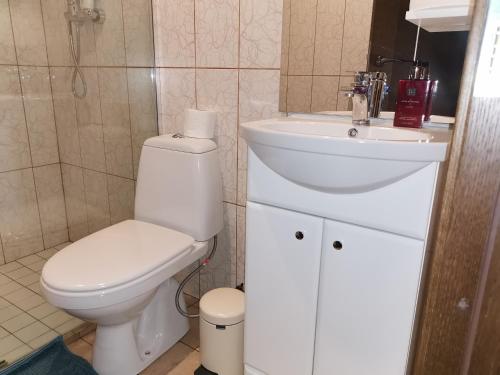 uma casa de banho com um WC branco e um lavatório. em ''Ābeļdārzs'' em Jelgava