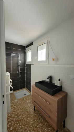 une salle de bain avec un lavabo et une douche dans l'établissement MAISON PLAIN PIED HYPER CENTRE ET 300M DE PLAGE, à Royan