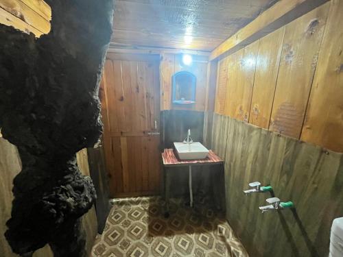 Vonios kambarys apgyvendinimo įstaigoje Nebula Nook TreeHouse