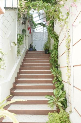 a staircase in a greenhouse with plants at The Sangtus Home in Babakan Madang