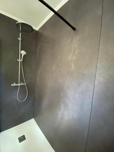 a shower in a bathroom with a gray wall at Le Logis du Plateau in Herve