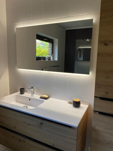 W łazience znajduje się umywalka i lustro. w obiekcie Le Logis du Plateau w mieście Herve