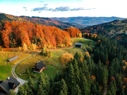 eine Luftansicht eines Hauses auf einem Hügel in einem Wald in der Unterkunft Chata na Kowalówkach in Piwniczna-Zdrój