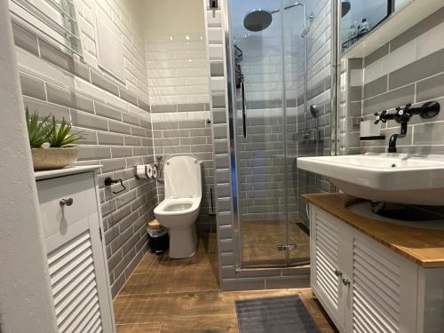 a bathroom with a toilet and a sink and a shower at Andel Studio with terrace in Prague