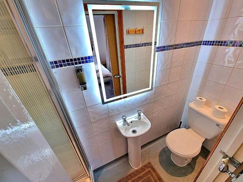 a bathroom with a toilet and a sink and a mirror at Town Lodge in Newquay