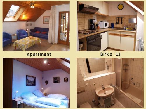three different pictures of a kitchen and a bathroom at Birke 9, 10 oder 11 in Todtmoos