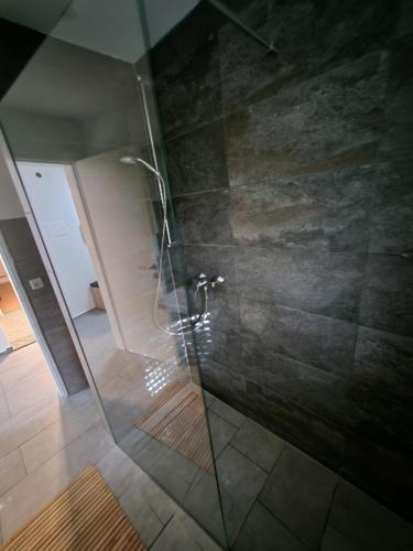 a shower with a glass door in a bathroom at Apartment am Südhang 2 in Dinkelsbühl